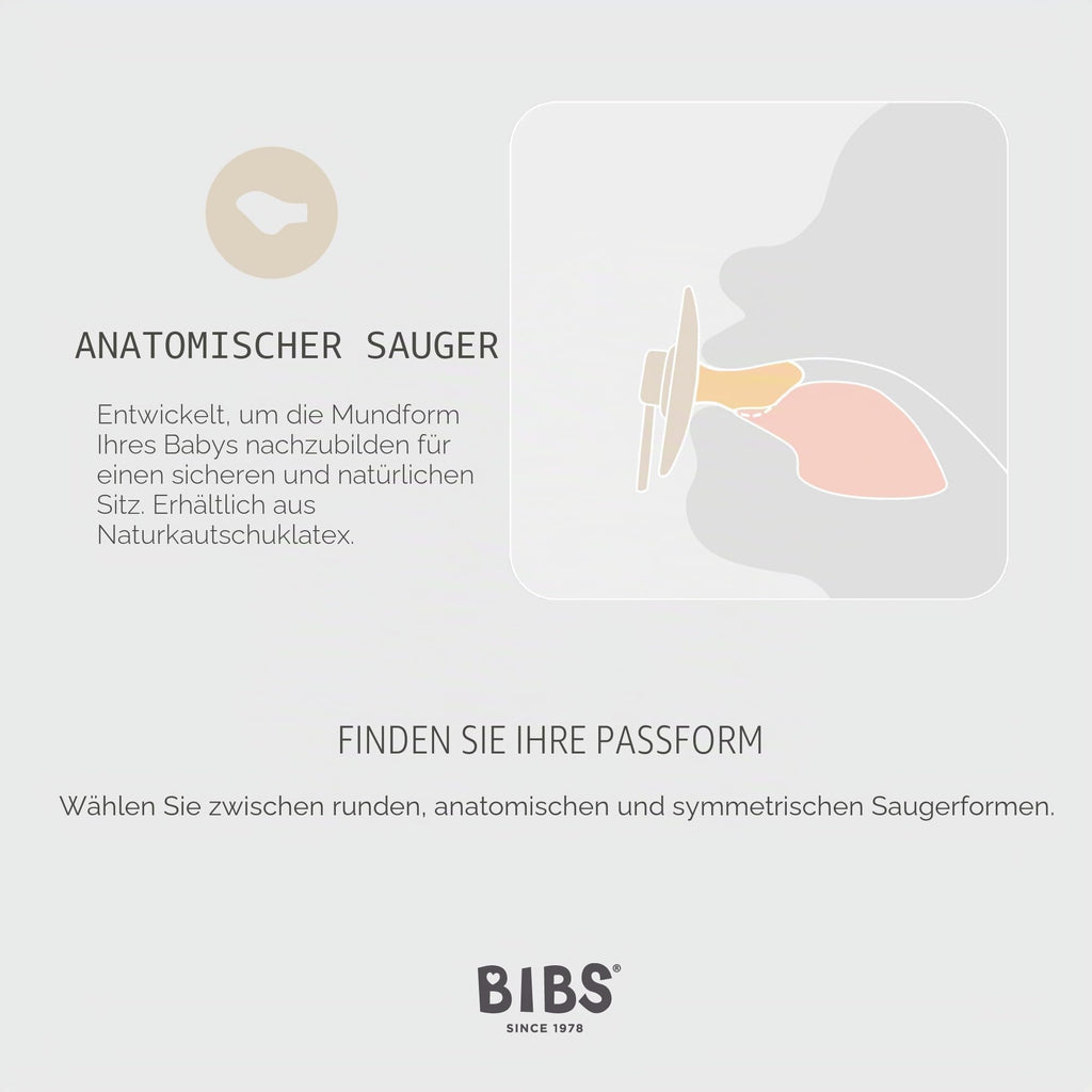 BIBS Colour Schnuller, 0-6 Monate, 2er-Pack, Sage/Hunter Green