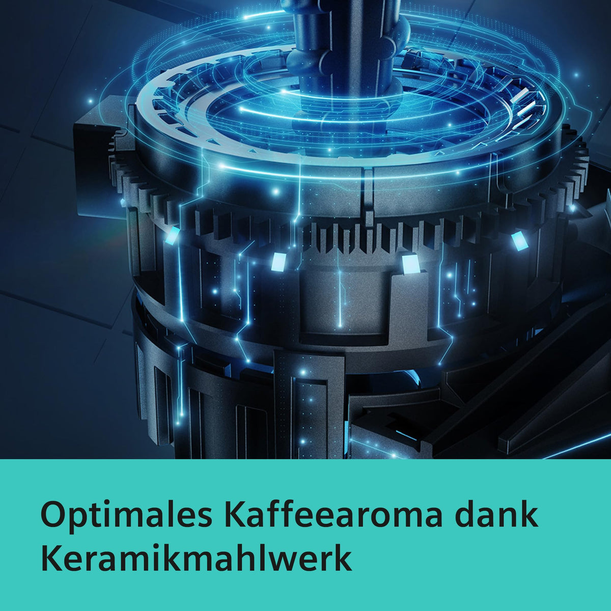 Siemens Kaffeevollautomat EQ6 plus s300, Milchsystem, 11 Getränke, automatische Reinigung des Milchsystems, Keramikmahlwerk, großes Touchdisplay, Silber, TE653501DE